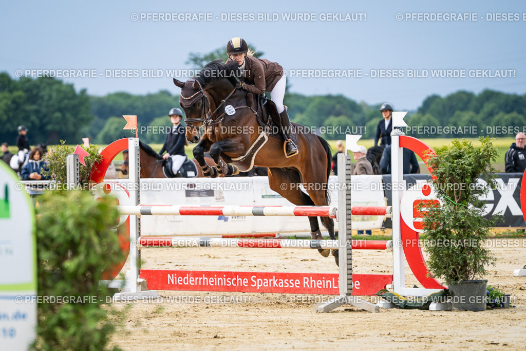 DSC03839 | Pferdegrafie