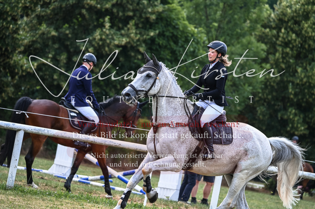 DSC_8343 | Pferde- und Turnierfotografie in Westsachsen. Pferdeportraits, Auftragszeichnungen und intuitive Kunst.