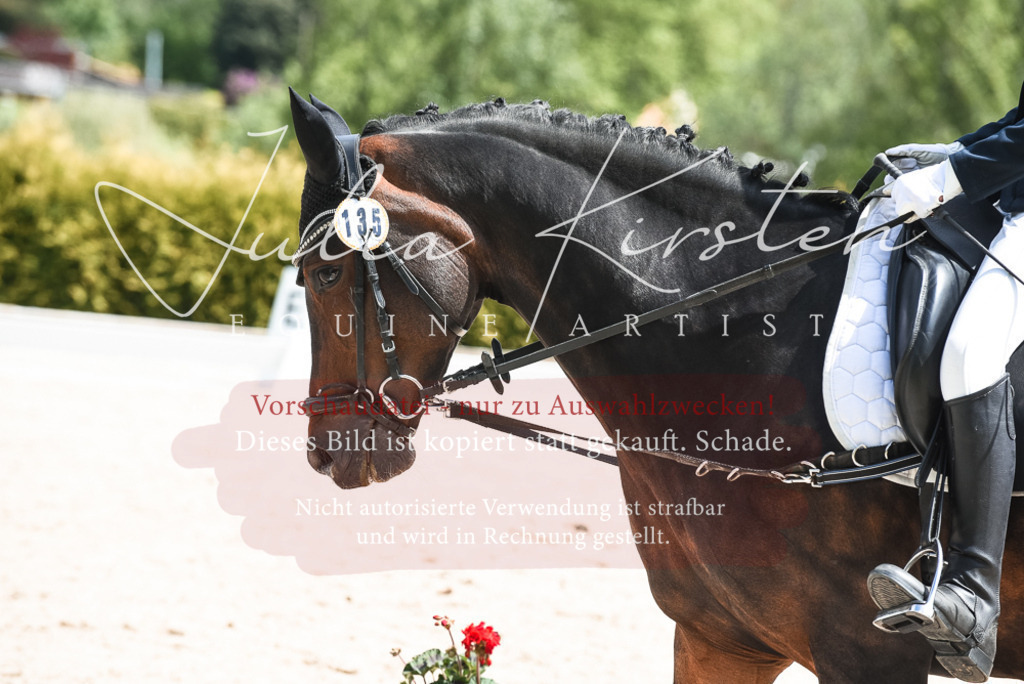 20230518_JK-Röhrsdorf-11-0507 | Pferde- und Turnierfotografie in Westsachsen. Pferdeportraits, Auftragszeichnungen und intuitive Kunst.