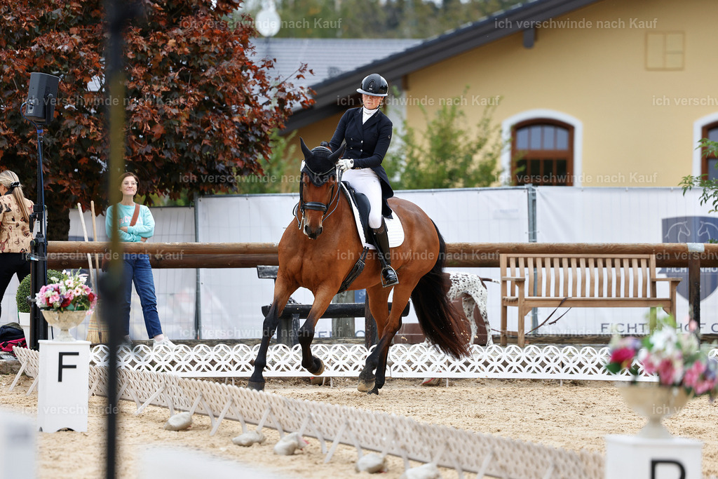 11-189-Dressur S___-StoibPH-927 | working equitationturnier fotograf videograf stoibphotography marixx film working equitation deutschland reitsport turnierfotografie eventfotografie equestrian events