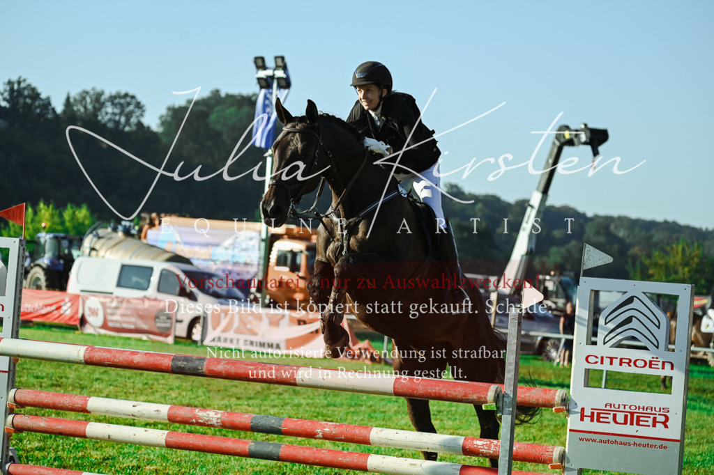 DSC_4340 | Pferde- und Turnierfotografie in Westsachsen. Pferdeportraits, Auftragszeichnungen und intuitive Kunst.