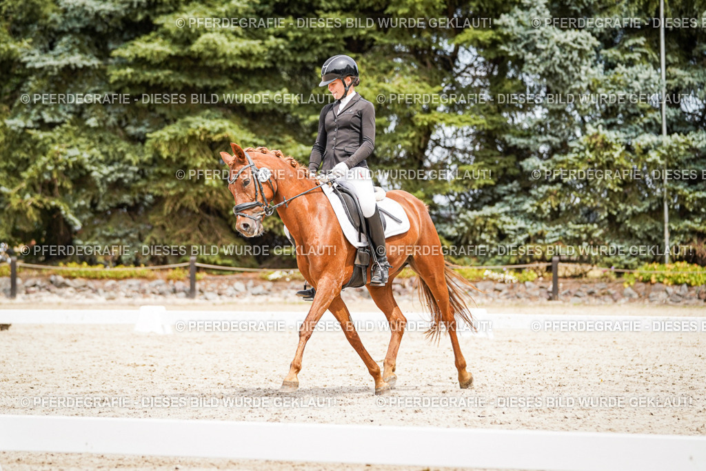 DSC04233 | Pferdegrafie