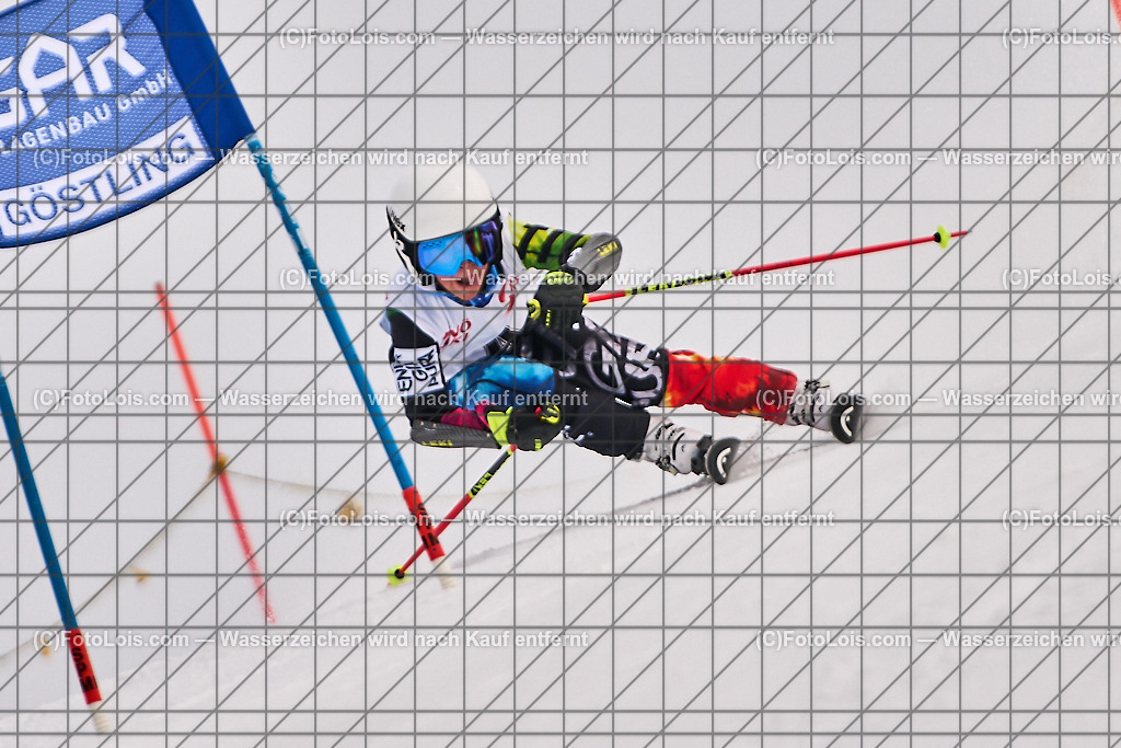 ALP0046_Hochkarlauf-RTL_Vorlaeufer | (C)FotoLois.com, Alois Spandl. HOCHKARLAUF, RTL auf der Almlift-Sonnenhang-Piste, Sa 9. März 2024.