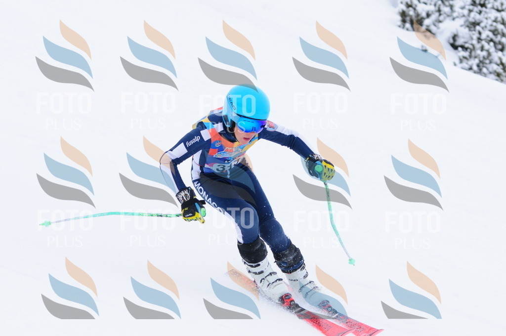 C3321 | holidayphoto