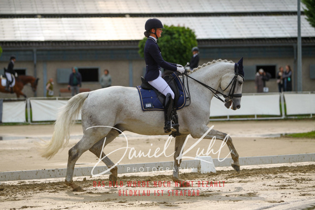 DKP40065 | Turniersportfotografie; Pferdefotografie; Dressurfotografie