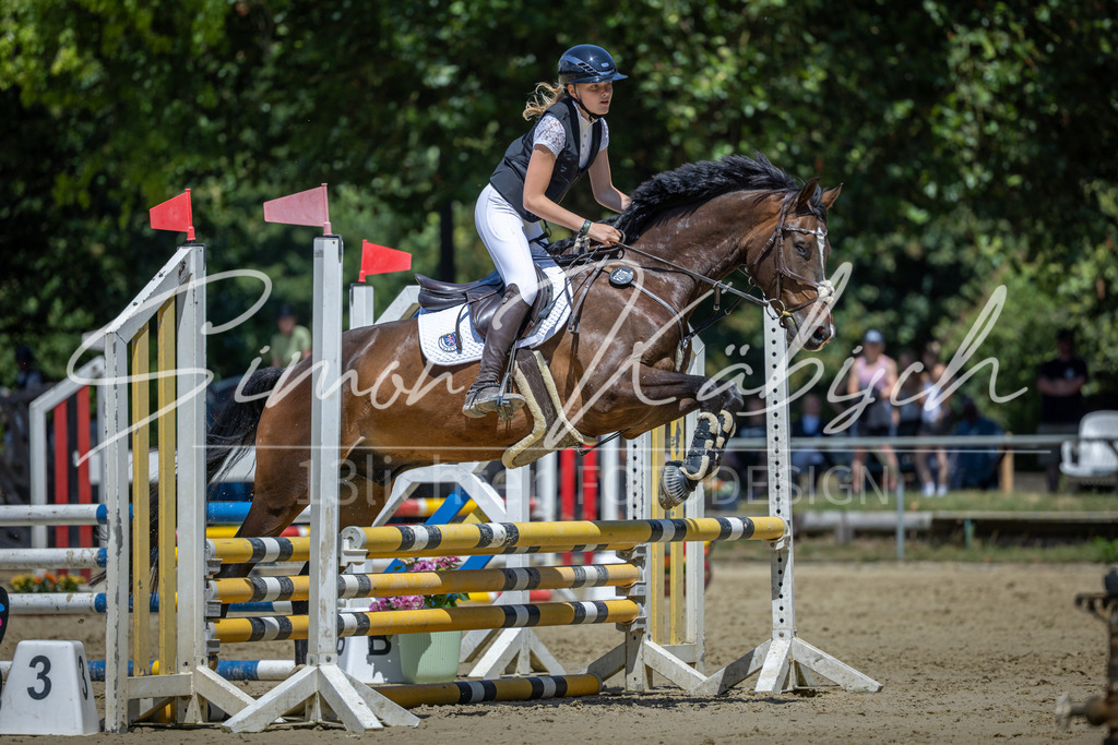 20260704-_3LI8518 | Tierfotografie Pferde, Hunde, Katzen, Haustiere.
Turnierfotografie Reitturniere, Reiten, Springreiten, Dressur in Hanau, dem Main-Kinzig-Kreis und dem Rhein-Main- Gebiet um Frankfurt