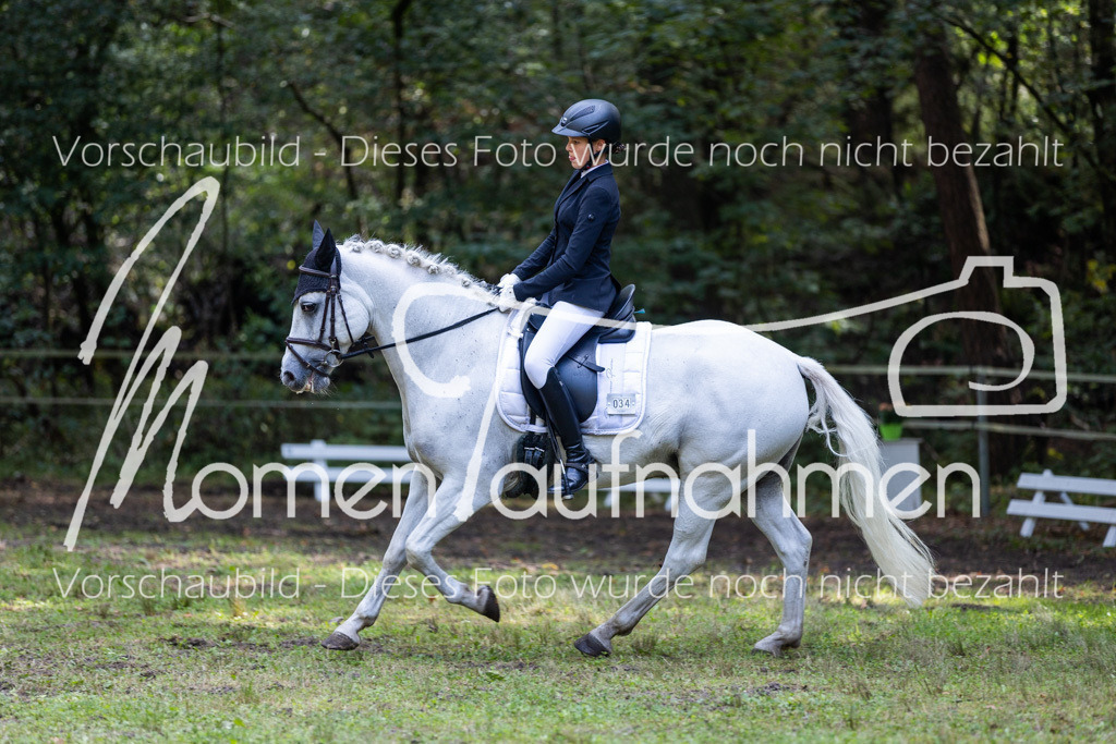 HB-Dressur-WB-113 | MomenTaufnahmen Pferdesportfotos