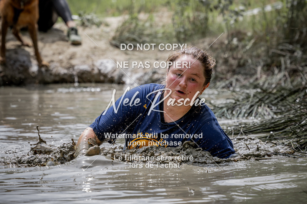 nelerasche_so1230-1300_287 | nelerasche