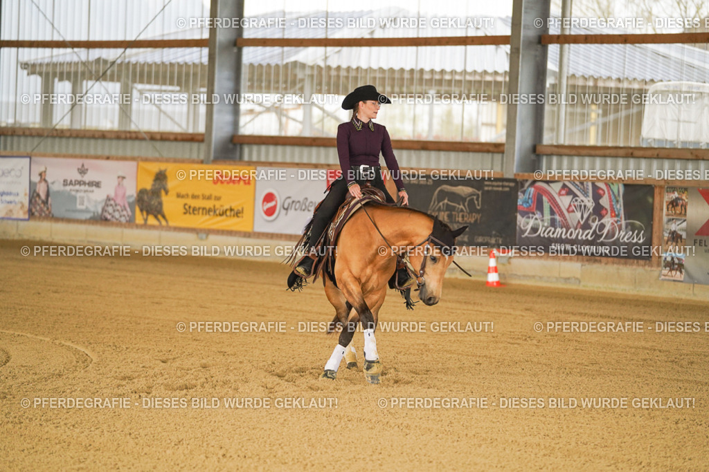 DSC00424 | Pferdegrafie