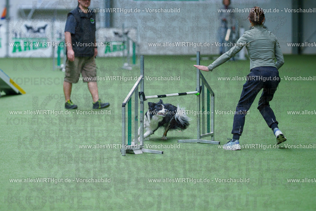 @allesWIRTHgut_Tierfotografie - www.allesWIRTHgut.de - 2604260931-7R507996 | Professionelle Tierfotografie in Mönchengladbach von Daniel Wirth (allesWIRTHgut). Liebevolle & natürliche Bilder von Hunden & Katzen für unvergessliche Erinnerungen.