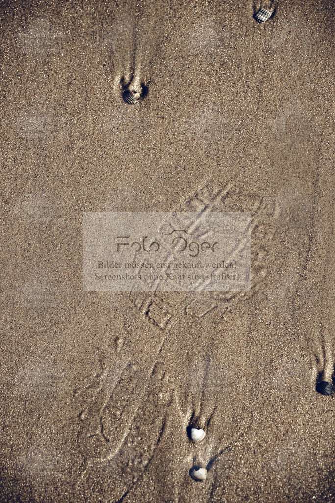 Spuren im Sand | Ein einzelner Abdruck im feinen Nordseesand – festgehalten, bevor die nächste Welle ihn wieder verschwinden lässt.Dieses Bild steht für Bewegung, Vergänglichkeit und die leisen Spuren, die wir im Alltag hinterlassen.Ein stilles, meditatives Motiv, das Ruhe und Erdung vermittelt – perfekt für Räume, die Gelassenheit ausstrahlen sollen. - Realisiert mit Pictrs.com