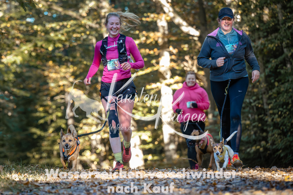 1008_ZZ99344 | kk-dogfotos