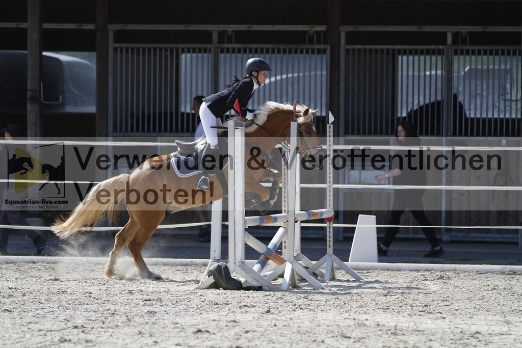 _MG_3495 | equestrian-live-com