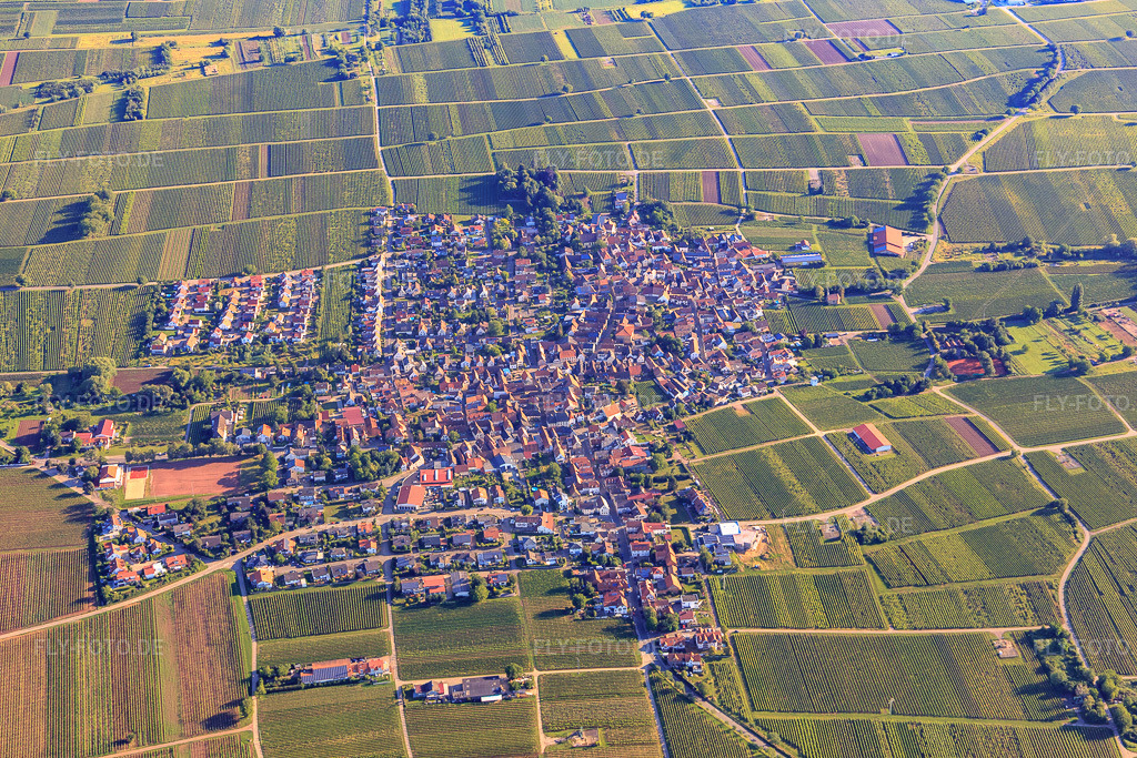 Luftbild: Ortsansicht von Süden im Ortsteil Nußdorf in Landau im Bundesland Rheinland-Pfalz in Deutschland. Foto: IMG_007809.jpg vom 21.06.2020 durch Werner Riehm/FLY-FOTO.de