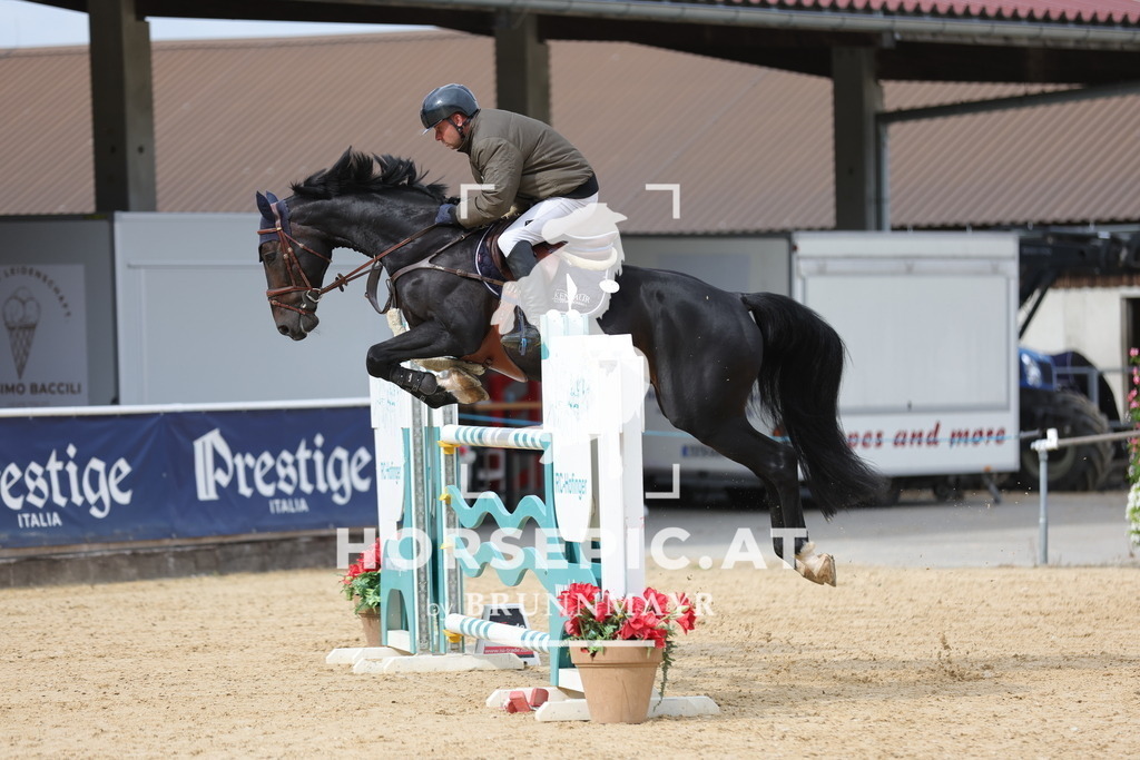 0P6A8621 | Willkommen bei Brunnmayr - Design & Fotografie – Ihrem Spezialisten für Reitturniere und Pferdeveranstaltungen in Oberösterreich, Salzburg und Bayern! Seit über 17 Jahren sind wir leidenschaftlich dabei.