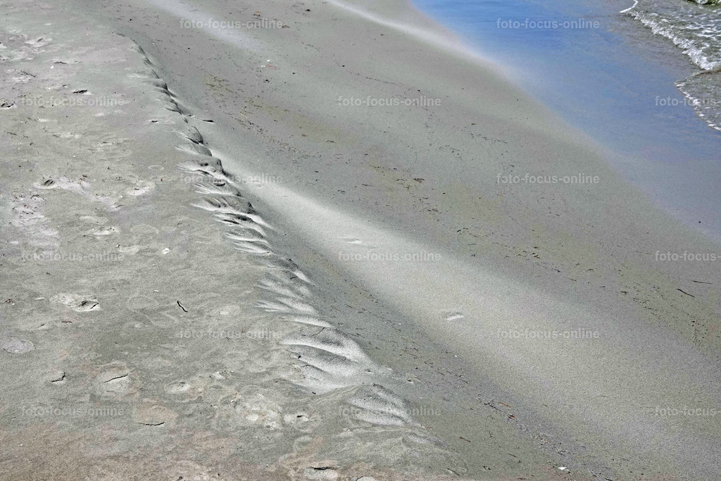 North Beach, Darß | foto-focus-online