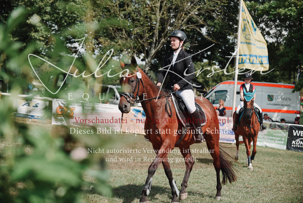 DSC_5749 | Pferde- und Turnierfotografie in Westsachsen. Pferdeportraits, Auftragszeichnungen und intuitive Kunst.
