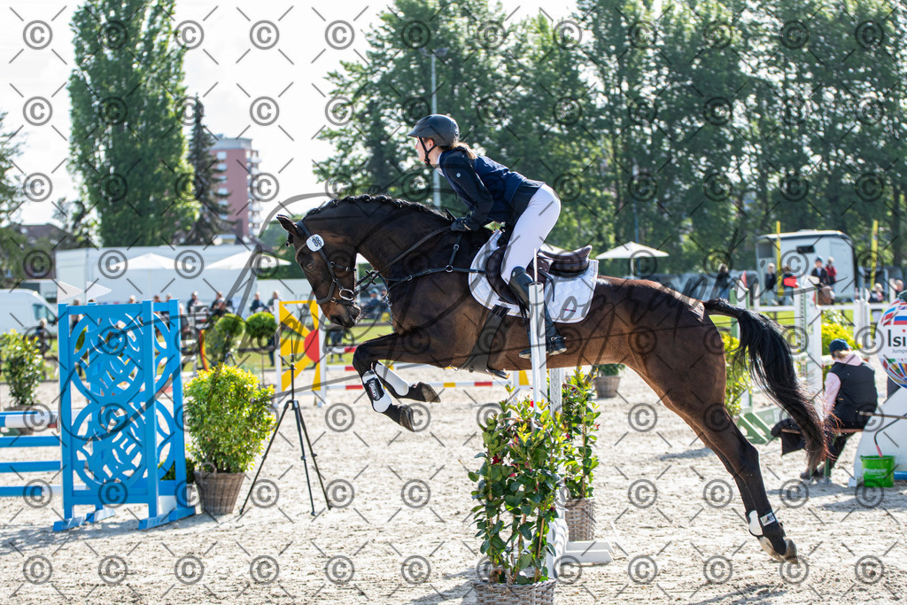 KPT_4494 | andre_photographic