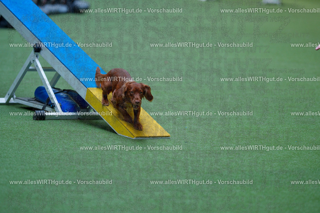 @allesWIRTHgut_Tierfotografie - www.allesWIRTHgut.de - 2604251359-7R504503 | Professionelle Tierfotografie in Mönchengladbach von Daniel Wirth (allesWIRTHgut). Liebevolle & natürliche Bilder von Hunden & Katzen für unvergessliche Erinnerungen.