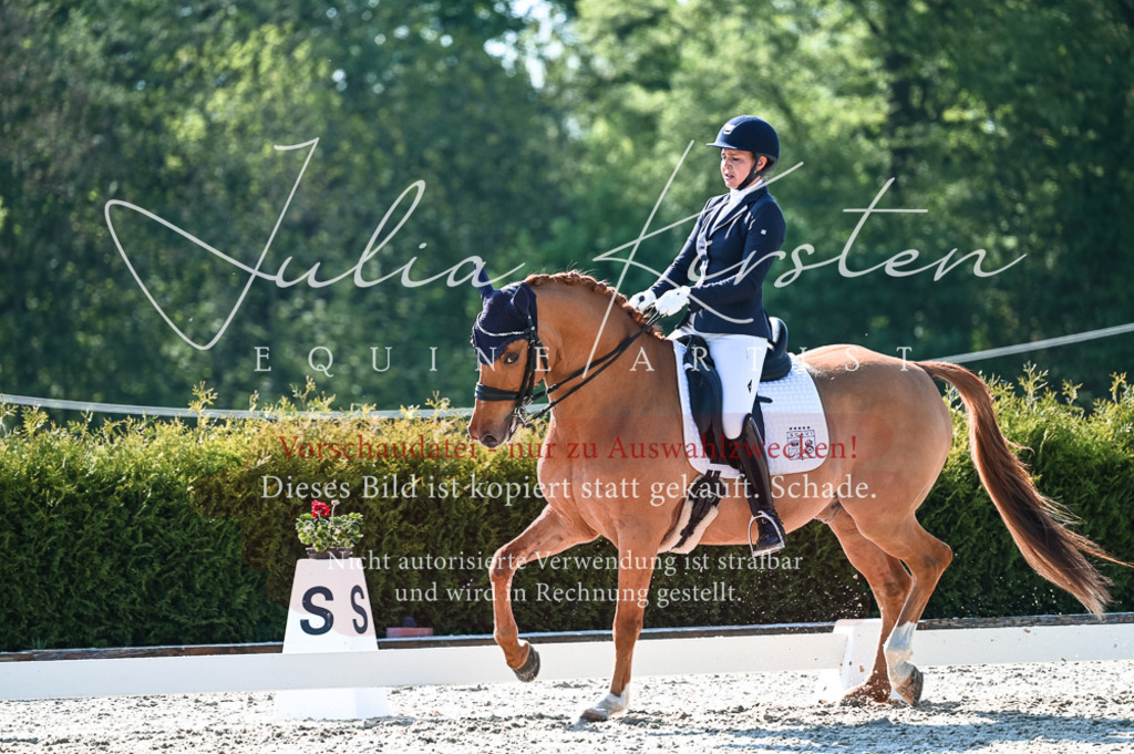 20230514_JK-Röhrsdorf-18-292 | Pferde- und Turnierfotografie in Westsachsen. Pferdeportraits, Auftragszeichnungen und intuitive Kunst.
