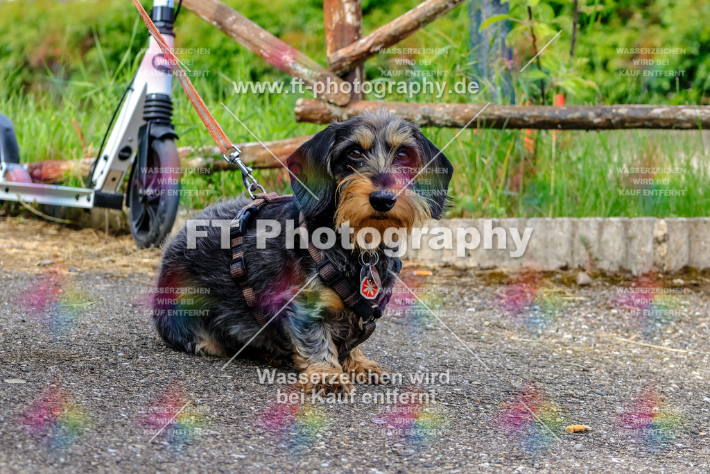 MotoTeam-1609 | Hier findet Ihr Bilder von Touristenfahrten auf der Nürburgring Nordschleife oder von anderen Veranstaltungen die ich besucht habe. Viel Spass beim Durch Schauen 