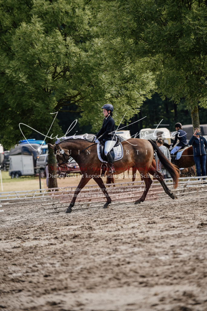 DSC_9304 | Pferde- und Turnierfotografie in Westsachsen. Pferdeportraits, Auftragszeichnungen und intuitive Kunst.