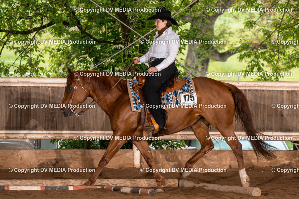 Erbach Tag 3-264 | dv-media-shop - Realisiert mit Pictrs.com