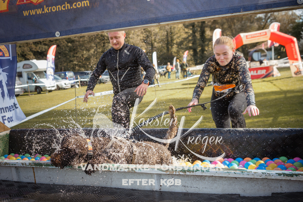 1316_ZZ99868-2 | kk-dogfotos