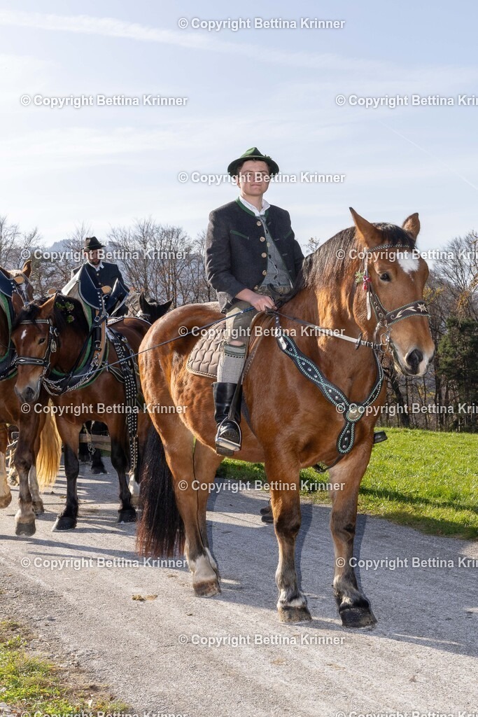 LBT24-1603 | foto-bettina-krinner - Realisiert mit Pictrs.com