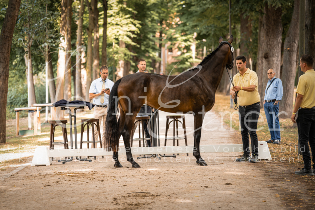 FrPfM00153 | Leoni Ertmer Photography - Realisiert mit Pictrs.com