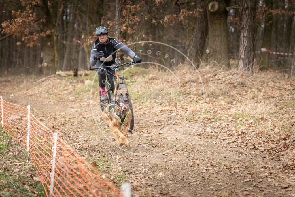 Pfotenfotografie_DV3A1803 | Hundefotografie, Tierfotograf, Pfotenfotografie, Fotoshooting Hund, Hunde Portrait, Hundesport, Hundeportraits, Heideshooting, Hunde, Sportfotograf, Hundefotograf, Turnierhundsport, THS,  - Realisiert mit Pictrs.com