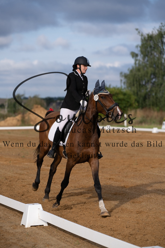 A7V03747 | Turnier/Reitfotograf