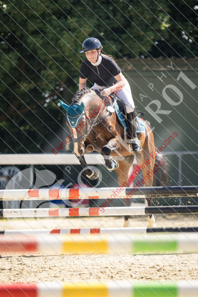 IMG_3453 | Sport-, Event- und Tierfotos in Profiqualität. Einfach auswählen, bestellen und herunterladen. Dein Moment – perfekt festgehalten.