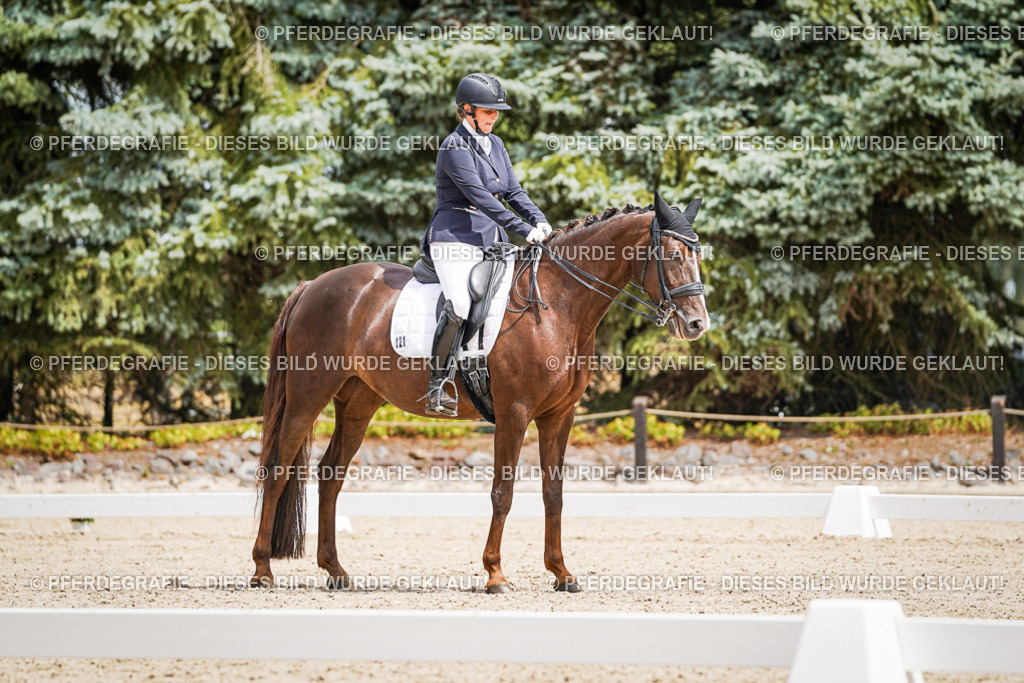 DSC03900 | Pferdegrafie