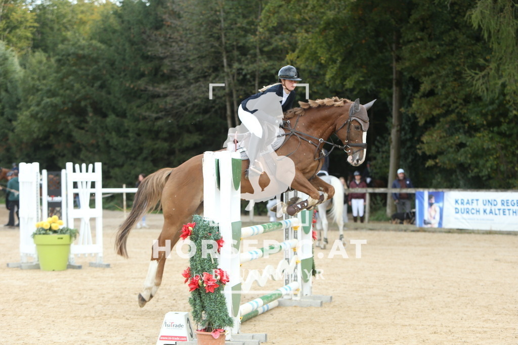 DL2Q7318 | Willkommen bei Brunnmayr - Design & Fotografie – Ihrem Spezialisten für Reitturniere und Pferdeveranstaltungen in Oberösterreich, Salzburg und Bayern! Seit über 17 Jahren sind wir leidenschaftlich dabei.
