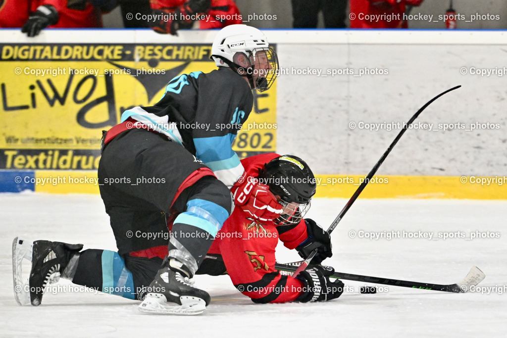 Lendhafen Seelöwen vs. Spartans Althofen | #96 Kasper Peter Lendhafen Seelöwen, #51 Titze Lukas Spartans Althofen, Lendhafen Seelöwen vs. Spartans Althofen, Lendhafen Seelöwen vs. Spartans Althofen am 14.02.2025 in Ferlach (HTC Eishalle Ferlach), Austria, (Photo by Bernd Stefan)