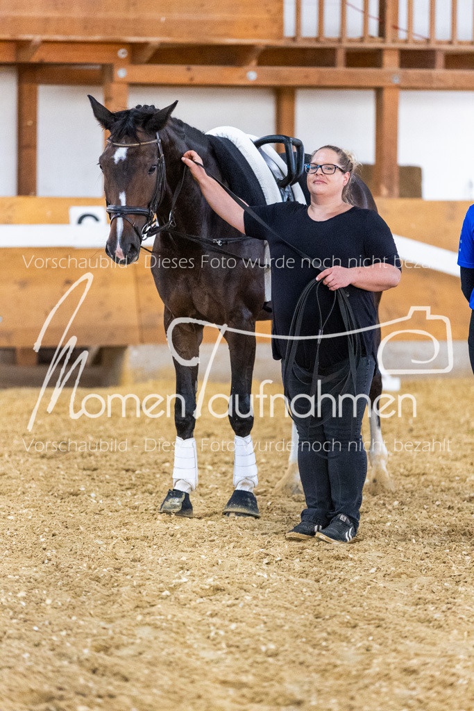 VTD-Voltigierpferde-053 | MomenTaufnahmen Pferdesportfotos