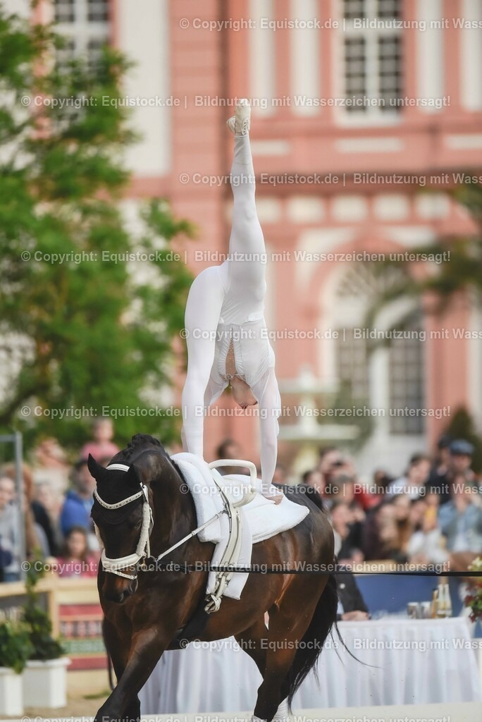 20230527_Voltigieren_NASPA_Flutlicht_0144 | equistock