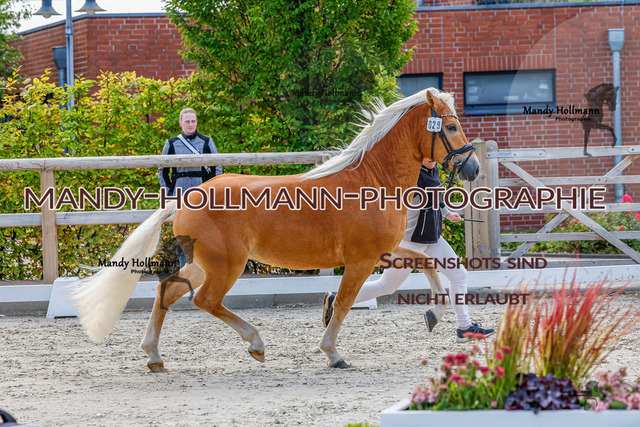 GK (552 von 759) | mandyhollmannphotographie