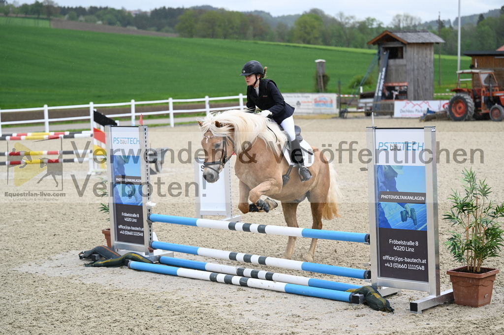 DSC_0007 | equestrian-live-com