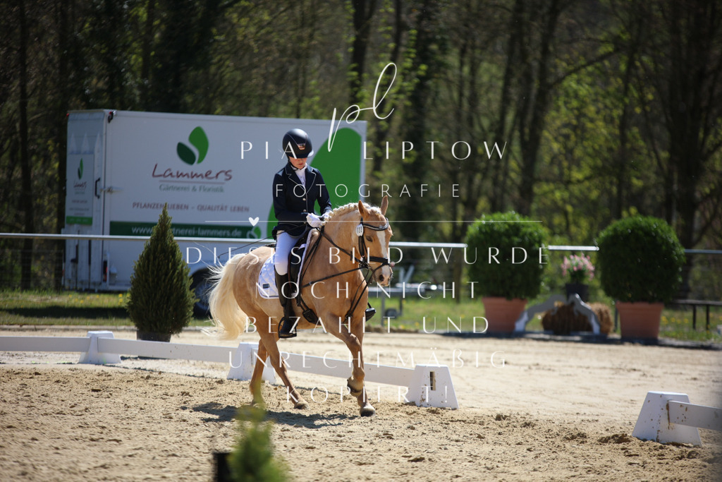 IMGT1090 | pl-fotografie