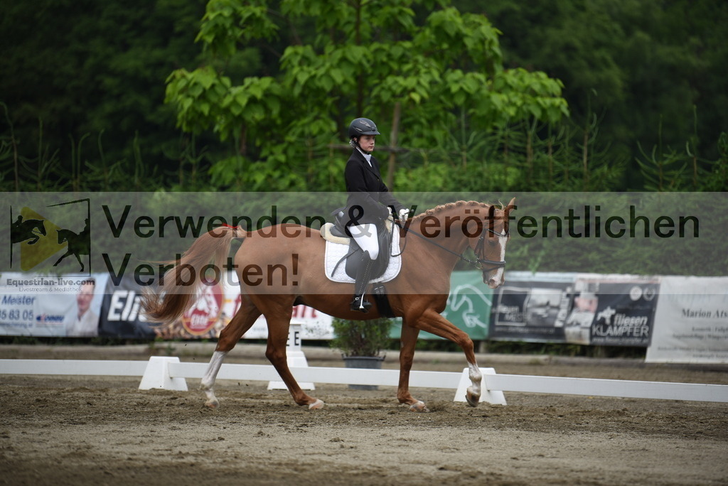 DSC_7983 | equestrian-live-com