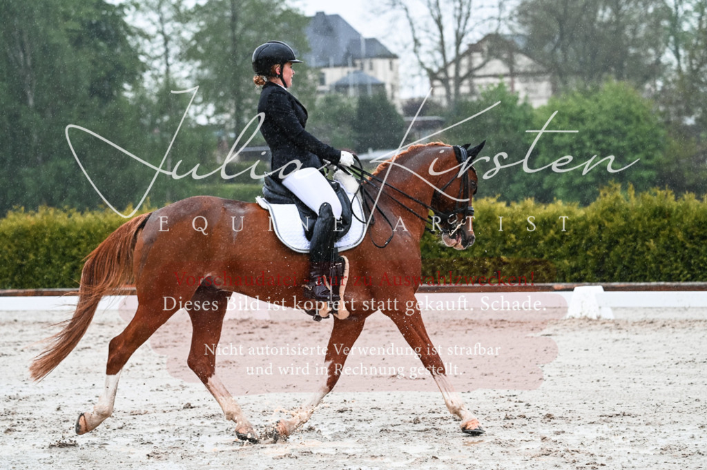 DSC_4603 | Pferde- und Turnierfotografie in Westsachsen. Pferdeportraits, Auftragszeichnungen und intuitive Kunst.