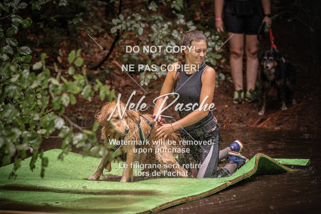 nelerasche_Wingst_Sa1330-1400_331 | nelerasche