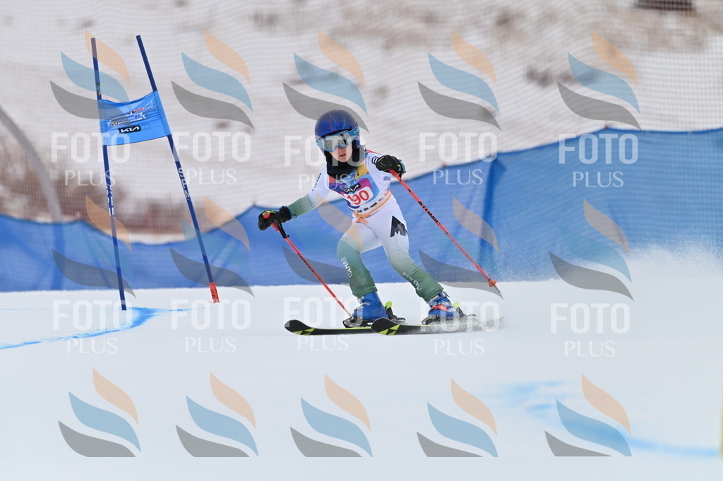 BGV_1417 | holidayphoto