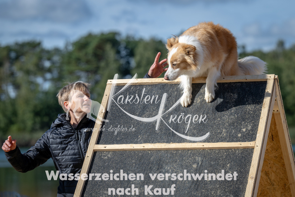 1243_ZZ93435-2 | kk-dogfotos