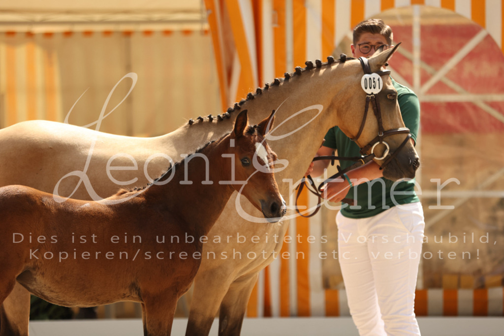 08.DoRPS00007 | Leoni Ertmer Photography - Realisiert mit Pictrs.com