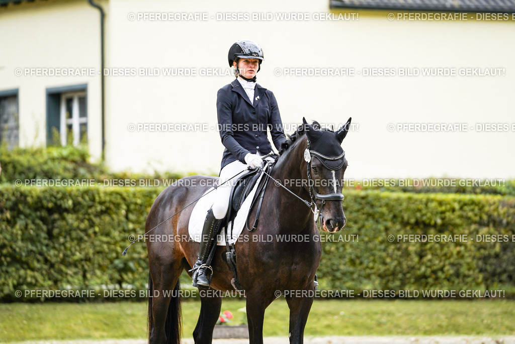 DSC07705 | Pferdegrafie