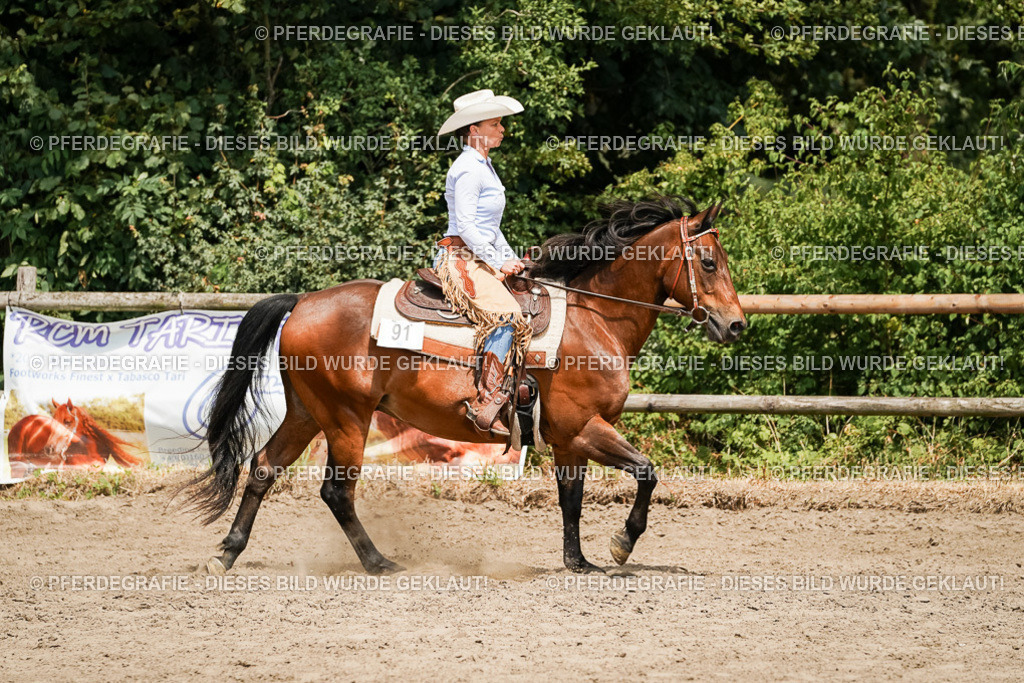 DSC09722 | Pferdegrafie