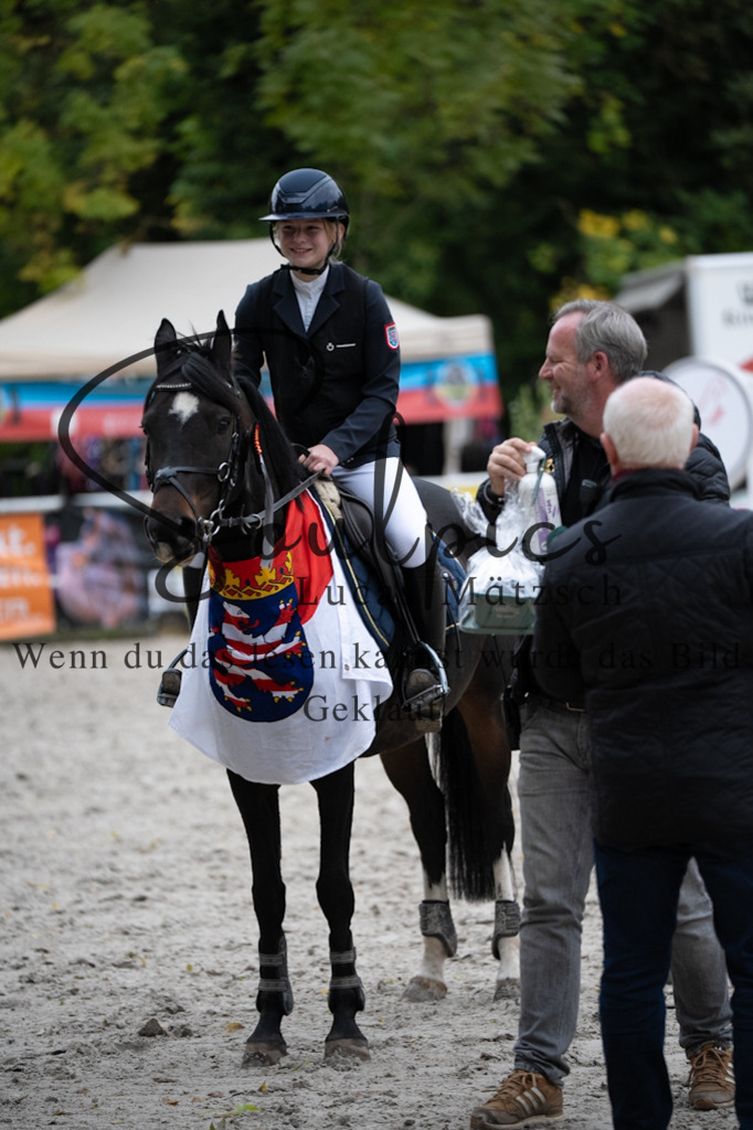 A7V08902 | Pferdefotograf